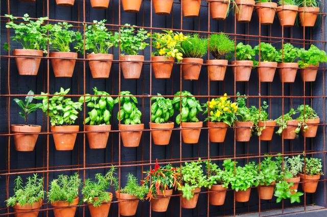 Vertical Herb Garden